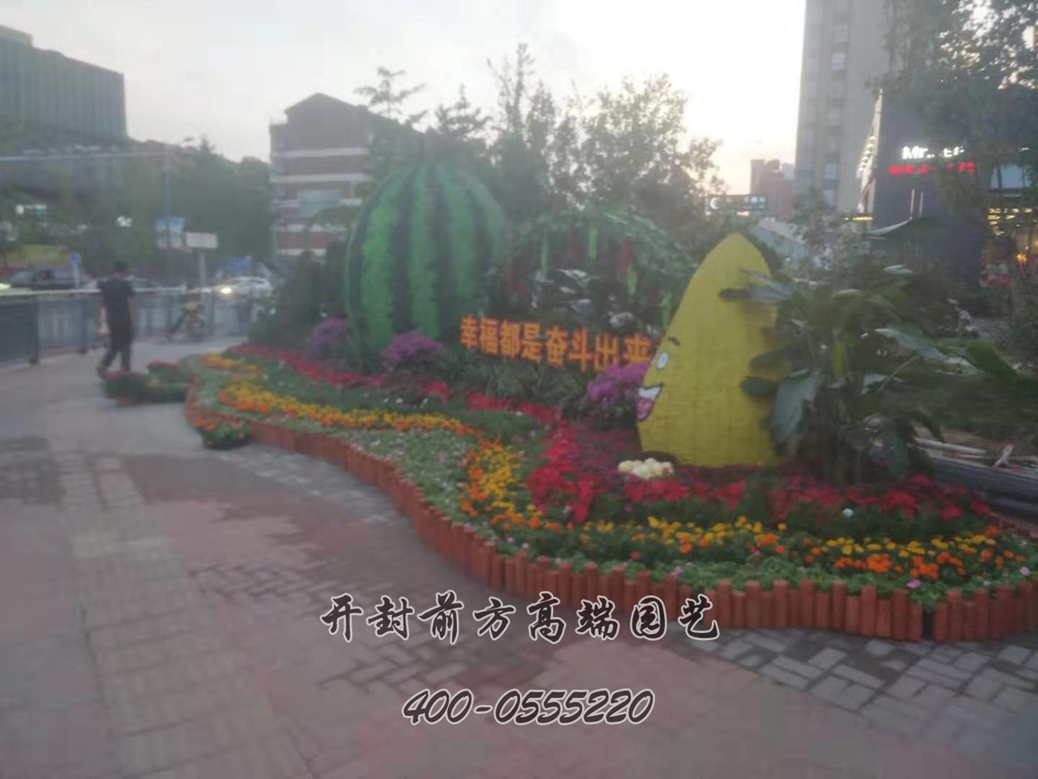 北京大興區(qū)菊花造型修飾