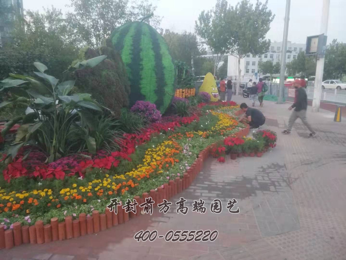 北京大興區(qū)菊花造型修飾