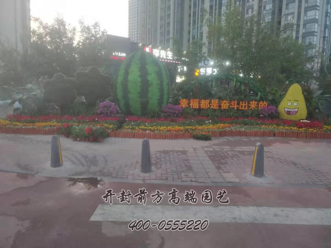北京大興區(qū)菊花造型修飾