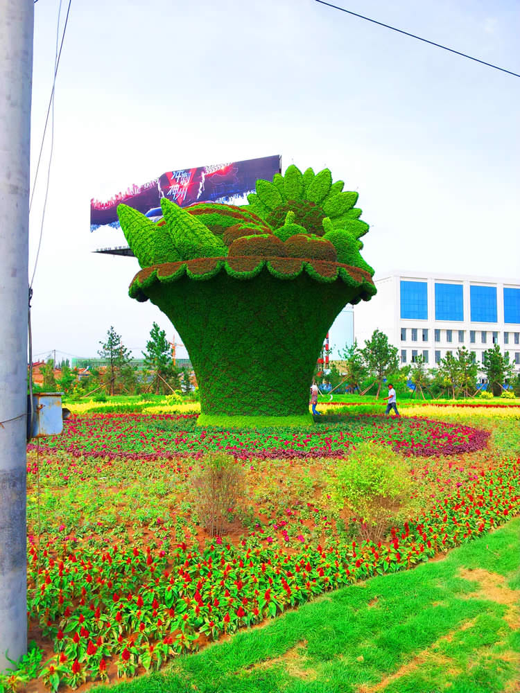 最新太陽(yáng)供能的五色草立體花壇主題公園